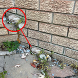 PANGAEA Hide-a-Spare-Key Fake Rock - Looks & Feels Like Real Stone - Safe for Outdoor Garden or Yard, Geocaching (Pebble - Brown)