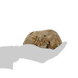 PANGAEA Hide-a-Spare-Key Fake Rock - Looks & Feels Like Real Stone - Safe for Outdoor Garden or Yard, Geocaching (Pebble - Brown)